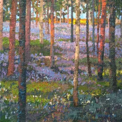 Bosque de campanillas tardías, 2014